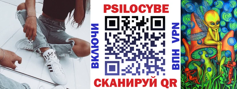Псилоцибиновые грибы Psilocybe  Верхняя Салда 